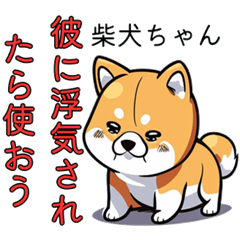 [LINEスタンプ] 浮気を問い詰める柴犬スタンプ