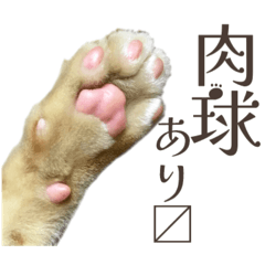 [LINEスタンプ] 働く猫 ゆる〜く頑張る編