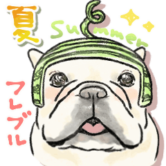 [LINEスタンプ] 【動く】夏に使えるフレンチブルドッグ