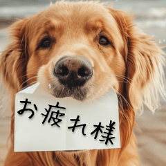 [LINEスタンプ] 【BIG】犬からの手紙⭐️