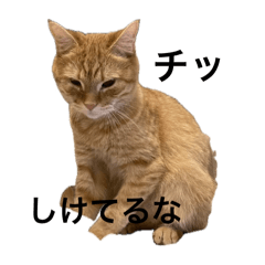 [LINEスタンプ] ぶんちゃんらんど5