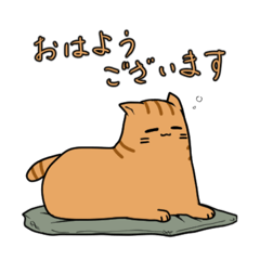 [LINEスタンプ] マシュマロねこ ちゃとらん（敬語ver.）