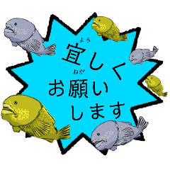 [LINEスタンプ] 流石です！ニュウドウカジカのヨイショ言葉