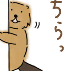 [LINEスタンプ] ほんわかビーバーさんの夏に使えるスタンプ