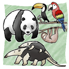 [LINEスタンプ] 野生動物たちとハシビロコウ【大人丁寧】