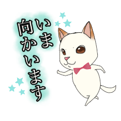 [LINEスタンプ] 愛犬★ROCKY