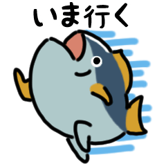 [LINEスタンプ] 動くマグロ（文字付き）