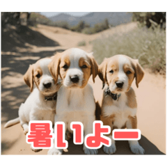 [LINEスタンプ] リアル☆子犬たちのかわいいひとときの画像（メイン）