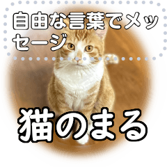 [LINEスタンプ] うちのネコ「まる」(message)