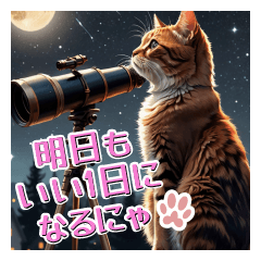 [LINEスタンプ] 可愛い猫 by C [No.02]