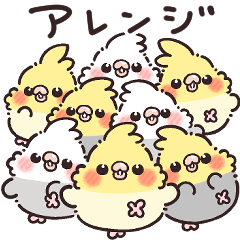 [LINEスタンプ] 組み合わせて使える⭐︎オカメインコちゃん