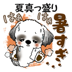 [LINEスタンプ] Black ＆ White シーズー犬『夏真っ盛り』