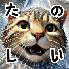 [LINEスタンプ] ウォータースライダー猫