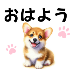 [LINEスタンプ] 可愛すぎるコーギーちゃん♡日常使えるの画像（メイン）