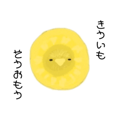 [LINEスタンプ] ゴールデンキウイのきういちゃんです。
