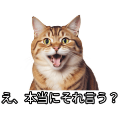 [LINEスタンプ] その時の気分で様変わり 多重人格猫