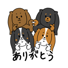 [LINEスタンプ] ふつうのキャバリア