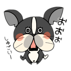 [LINEスタンプ] ボストンテリアぼんちゃん(家族)