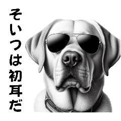 [LINEスタンプ] イケメン犬スタンプ