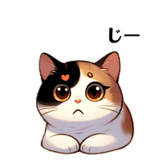 [LINEスタンプ] 三毛猫つぶらな瞳