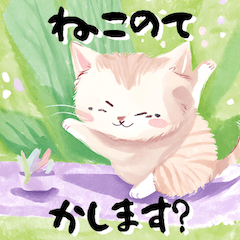 [LINEスタンプ] ほんわかねこねこ日和