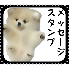 [LINEスタンプ] 犬メッセージスタンプ 01