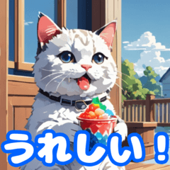 [LINEスタンプ] 楽しい夏の猫たち