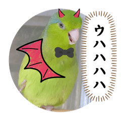 [LINEスタンプ] マメルリハ達19