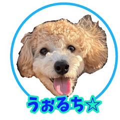 [LINEスタンプ] うぉるち