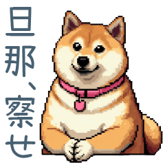 [LINEスタンプ] 煽る嫁柴犬【煽り・夫婦・日常会話】