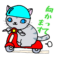 [LINEスタンプ] ほうせんか猫の部屋 猫イラストスタンプ4