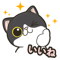 [LINEスタンプ] 猫のモチ - Pawsome Island