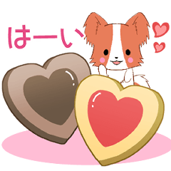 [LINEスタンプ] ちびパピヨン10【いま何してる？】