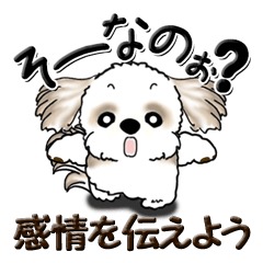 [LINEスタンプ] シーズー犬 『感情を伝えよう』