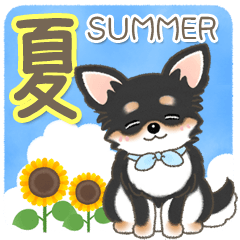 [LINEスタンプ] 【夏の会話】可愛い黒チワワ犬ちゃん