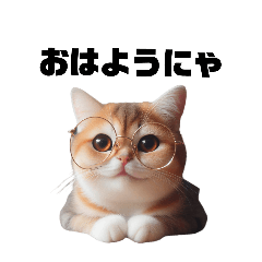 [LINEスタンプ] めがねねこの毎日スタンプ