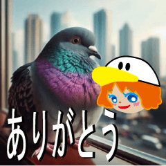 [LINEスタンプ] チャッキーの日常（鳩ちゃん）