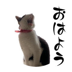 [LINEスタンプ] みい子からねえねへ5
