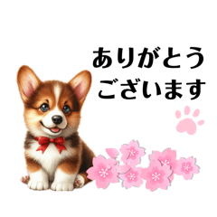 [LINEスタンプ] 可愛すぎるコーギーちゃん♡敬語バージョン