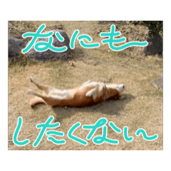 [LINEスタンプ] ソラと申します