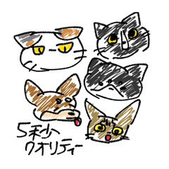 [LINEスタンプ] ねこねこいぬいぬねこ