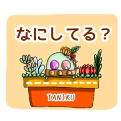 [LINEスタンプ] 多肉植物‎たに子✿✤家族連絡に使える✿✤