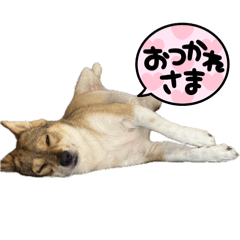 [LINEスタンプ] チョコスタンプ✨