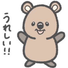 [LINEスタンプ] クオッカ坊や♡基本スタンプ