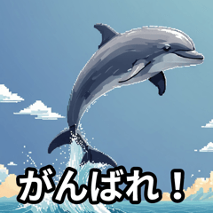 [LINEスタンプ] イルカさんの気持ちの画像（メイン）