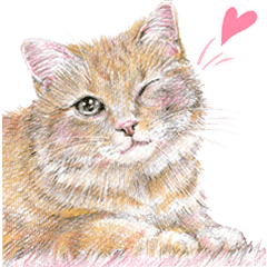 [LINEスタンプ] いつだってお猫様