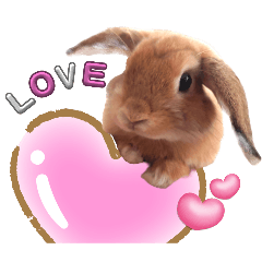 [LINEスタンプ] ホーランドロップイヤーはる