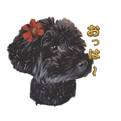 [LINEスタンプ] 黒トイ詩ちゃん