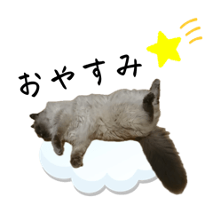 [LINEスタンプ] たる、みみ、マロ、クロタル達のスタンプ