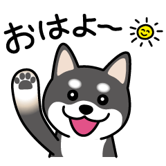 [LINEスタンプ] Cute！ 黒柴スタンプ